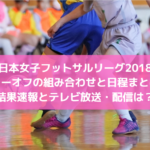 【日本女子フットサルリーグ2018】テレビ放送・配信は？結果速報とプレーオフの組み合わせと日程まとめ！