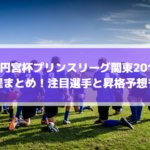 【高円宮杯プリンスリーグ関東2019】日程まとめ！注目選手と昇格予想も！
