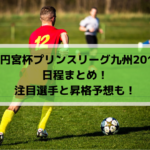 【高円宮杯プリンスリーグ九州2019】日程まとめ！注目選手と昇格予想も！