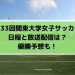 関東大学女子サッカーリーグ戦2019の日程・組み合わせと放送は？優勝予想も！