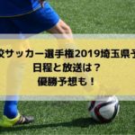 高校サッカー選手権2019埼玉県予選の日程・組み合わせとテレビ放送は？優勝予想も！
