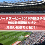 マドリードダービー2019の放送日程は？無料動画視聴方法と見逃し配信もご紹介！