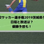 高校サッカー選手権2019茨城県予選の日程・組み合わせとテレビ放送は？優勝予想も！