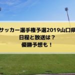 高校サッカー選手権2019山口県予選の日程・組み合わせとテレビ放送は？優勝予想も！