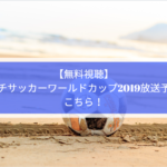 ユーロプレーオフの地上波テレビ放送予定は 日程と組み合わせも Center Circle