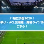 ベガルタ仙台21jリーグ開幕戦予想スタメン フォーメーションはこれだ Center Circle