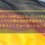 ドイツ代表の若手注目選手は 予想スタメン フォーメーションと戦術 W杯ヨーロッパ予選 Center Circle