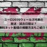 ユーロ2020ウェールズ代表の放送・試合日程は？無料ネット配信の視聴方法もご紹介！