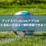 ブンデスリーガLIVEアプリの料金と支払い方法は？無料登録できる？