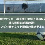 高校サッカー選手権千葉県予選2022の結果速報！テレビ中継やネット配信の放送予定は？