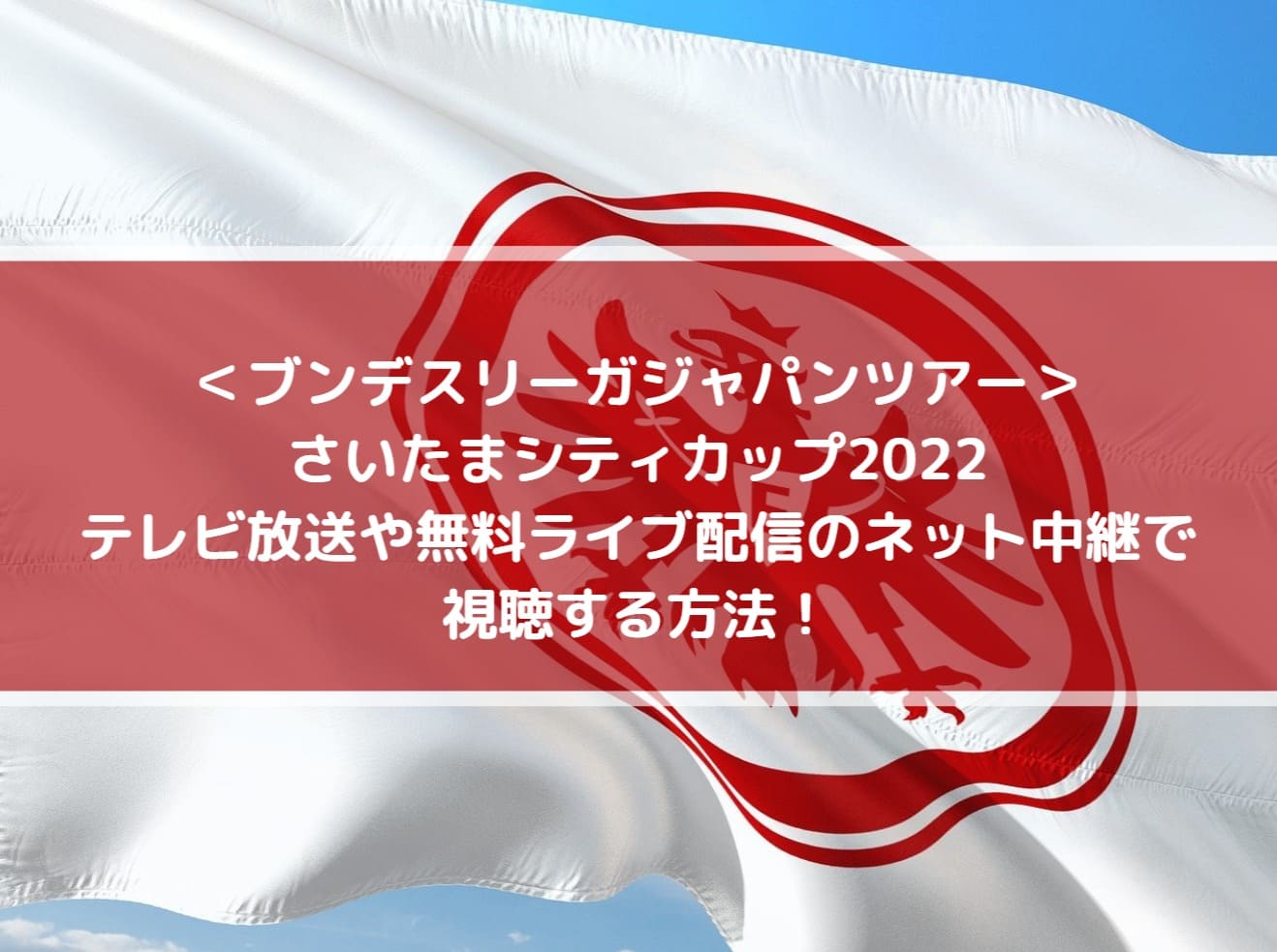 さいたまシティカップ22のテレビ放送や無料ライブ配信のネット中継で視聴する方法 Center Circle