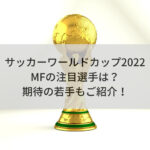 サッカーワールドカップ2022MFの注目選手は？期待の若手もご紹介！
