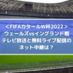 ウェールズvsイングランド戦テレビ放送と無料ライブ配信のネット中継は？| FIFAカタールW杯2022
