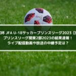 プリンスリーグ関東2部2023結果速報！ライブ配信動画や放送の中継予定は？