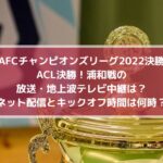 ACL決勝！浦和戦の放送・地上波テレビ中継は？配信とキックオフ時間は何時？