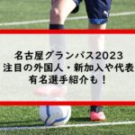 名古屋グランパス2023注目の外国人・新加入や代表・有名選手紹介も！