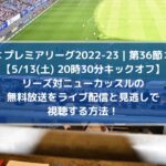 リーズ対ニューカッスルの無料放送をライブ中継と見逃し配信で視聴する方法！| 第36節プレミアリーグ2022-23